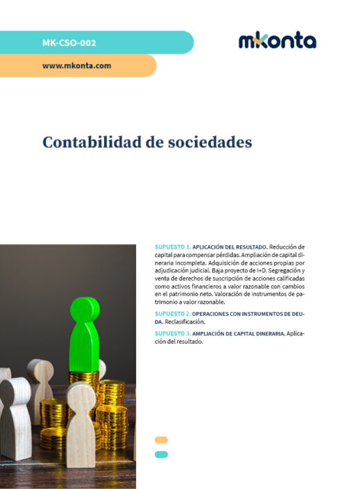 contabilidad de sociedades